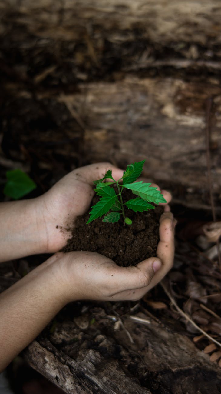 Young Child Gardening