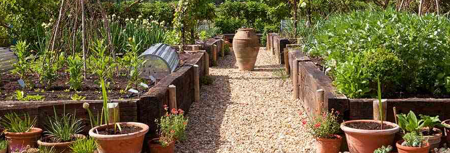 kitchen garden