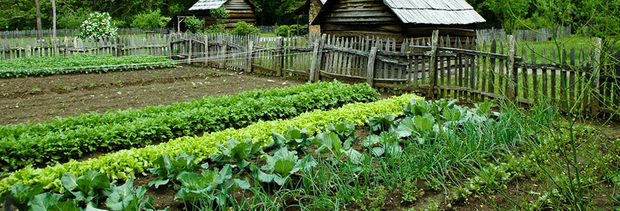 organic gardening