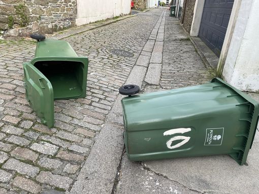 Blown Over Wheelie Bins